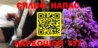 стаф Сланцы