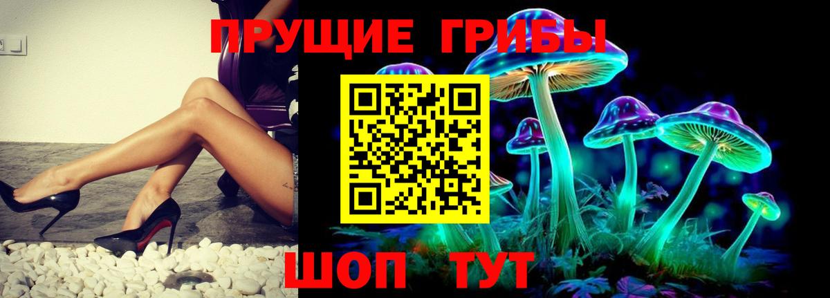 Галлюциногенные грибы Psilocybe  Вход с VPN  сколько стоит  Галлюциногенные грибы GOLDEN TEACHER  Протвино 
