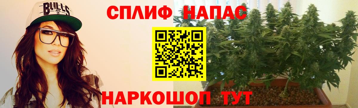 Канабис гибрид Протвино